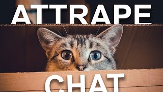 ATTRAPE CHAT [upl. by Ellenet43]