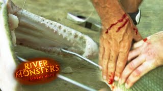 Alligator Gar Bites Jeremy Wade  ALLIGATOR GAR  River Monsters [upl. by Ennylyak]