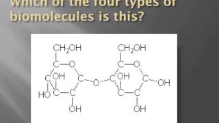 How to identify biomolecules structurally [upl. by Dielu]