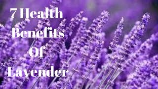 7 Health Benefits Of Lavender [upl. by Banyaz]