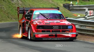 Best of Audi Quattro S1 Group B Rally amp Hillclimb Monsters  Pure sound [upl. by Hinze]