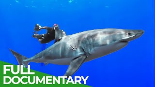 Adventure Ocean Quest Discovering Another World  Special Episode  Free Documentary Nature [upl. by Gilder735]