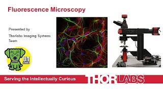 Fluorescence Microscopy Technology Fundamentals and Applications [upl. by Nari99]