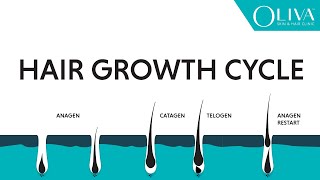 Natural Hair Growth Cycle Explainer Video On Anagen Catagen amp Telogen Phases [upl. by Matias]