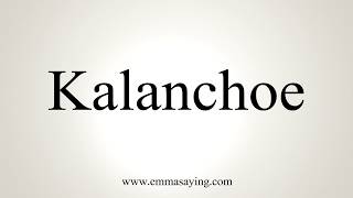 How To Pronounce Kalanchoe [upl. by Reniar506]