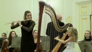 WA Mozart  Concerto for Flute and Harp KV 299 2nd movement [upl. by Airtemad363]