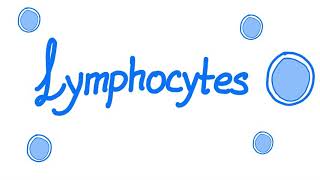 Lymphocytes  Your Specialized Immunity  White Blood Cells [upl. by Aicenod339]