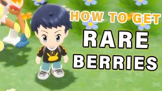 How to get RARE Berries ► Pokemon Brilliant Diamond  BDSP [upl. by Studner705]