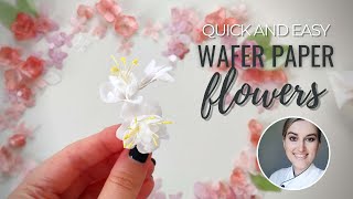 How to make Simple wafer paper white filler flowers and DIY stamens [upl. by Keg838]