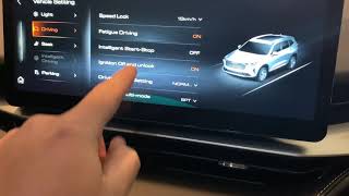 Haval H6 Ultra  Vehicle Settings amp Customisation Overview  Safety Features [upl. by Rebmit839]