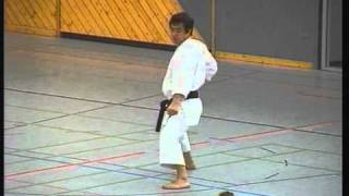 Seienchin kata Hirokazu Kanazawa 10th dan shotokan [upl. by Nelra615]