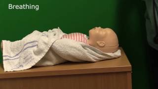 Neonatal Resuscitation  Demonstration [upl. by Mieka]