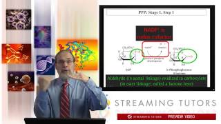 Biochemistry Pentose Phosphate Pathway tutorial [upl. by Renruojos949]