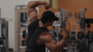 IFBB Pro Arm Workout [upl. by Asehr792]