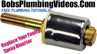 Kitchen Faucet Sprayer Diverter Problem [upl. by Ahsema566]