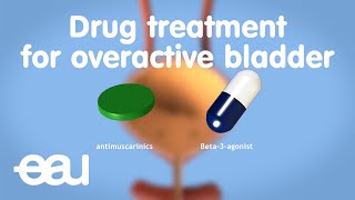 Drug treatment for overactive bladder [upl. by Sinai180]