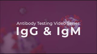 Antibody Testing IgG and IgM explained [upl. by Chrotoem]