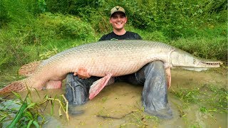 MONSTER Alligator Gar Fishing in Texas EPIC [upl. by Acinat664]