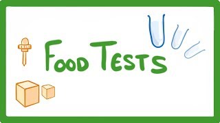 GCSE Biology  Food Tests Practicals 16 [upl. by Lorrad]