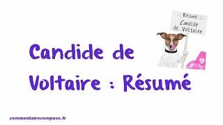 résumé Candide [upl. by Eeb]