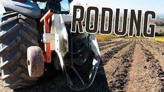 WEINBERG RODEN  RODUNG 2018  Weinbau  New Holland  Vineyard Removal [upl. by Korb]