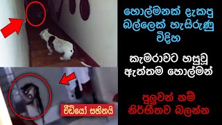 කැමරාවට හසුවූ හොල්මන් Part 16 Paranormal Activity kazzai holman Sinhala film review holman [upl. by Siclari633]