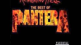 Cemetery Gates  Pantera HQ Audio [upl. by Annaxor506]