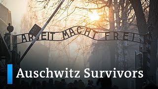 Auschwitz liberation Survivors look back  DW News [upl. by Hsirt417]