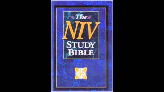 Epistle to the Philippians NIV Audio Bible Non Dramatized [upl. by Ainnek]