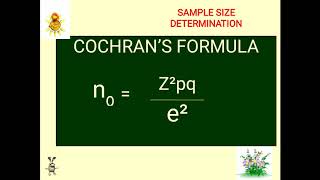 SAMPLE SIZE DETERMINATION [upl. by Ardyce919]