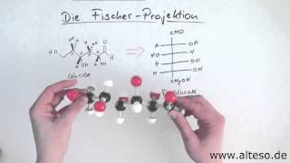 Die FischerProjektion [upl. by Eelan875]