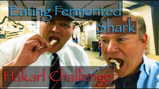 Hákarl Hakarl Challenge Eating Fermented Shark [upl. by Gretna]