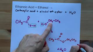 Ethanoic Acid  Ethanol   Ester Reaction [upl. by Hpeosj]