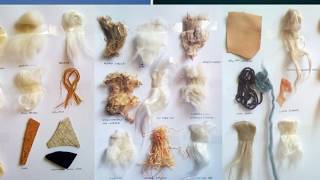 Textile Fiber and Its properties [upl. by Annairb]