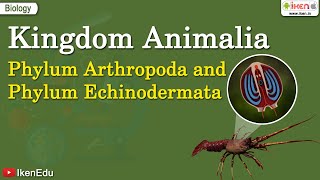 Kingdom Animalia Phylum Arthropoda and Phylum Echinodermata  iKen  iKen App  iKen Edu [upl. by Atena]