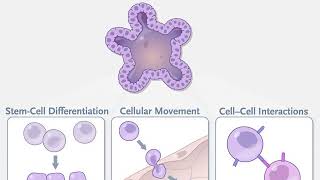 Organoid Technologies in Research [upl. by Behnken836]