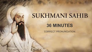 Sukhmani Sahib FAST 36 minutes Shudh Ucharan Taksali Singh [upl. by Emily]