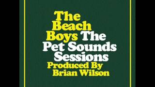 Beach Boys  Wouldnt It Be Nice Vocals Only [upl. by Adalheid383]