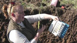 Soil Profiling Color [upl. by Lanoil288]