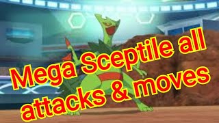 mega sceptile all attacks amp moves Pokemon [upl. by Dorri744]