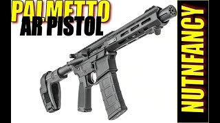 BUNKER REVIEW Palmetto Armory PA15 10quot Pistol [upl. by Yrdnal]