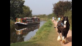 The Horse Drawn Barge Tiverton Devon [upl. by Ellenor544]