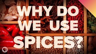 The Surprising Reason We Eat Spicy Food [upl. by Aohk437]