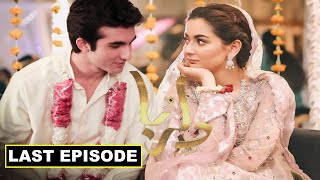 Dilruba Episode 24 I Dil Ruba Last Episode  Promo Last Episode  HUM TV Drama I EA tv Review [upl. by Harle]