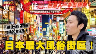 90年代的新宿歌舞伎町有多可怕？ 日本人都忌憚的龍蛇雜處！｜東京歌舞伎町 [upl. by Norret643]