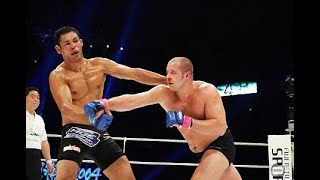 FEDOR EMELIANENKO  PRIDE HIGHLIGHTS [upl. by Nayra318]