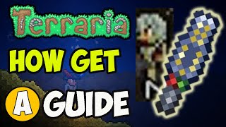 Terraria how to get Metal Detector EASY 2024  Terraria how to get Nymph EASY [upl. by Torray]