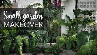 Small tropical garden 20sqft makeover with 10 Pro Gardening Tips [upl. by Aitenev]