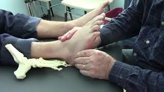 Physical Therapy How to Treat Outside Foot Pain in Cuboid Joint [upl. by Anorahs282]