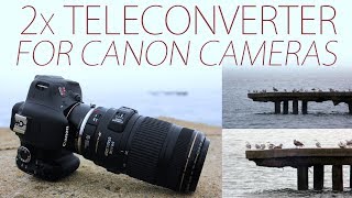 2x Teleconverter for Canon Cameras Double Your Focal Length [upl. by Dunton30]